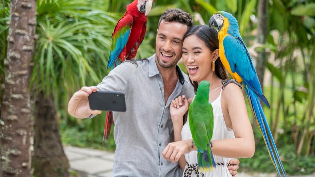 Bali Bird Park - Ticket - Image 4